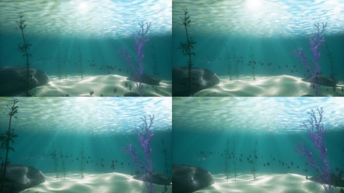 海洋水面鱼群3D写实海底