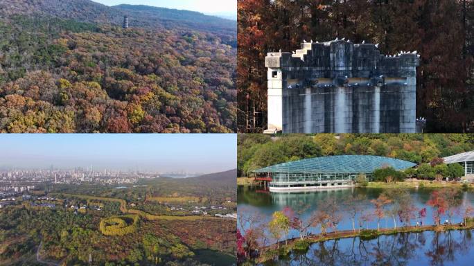 南京钟山风景区航拍