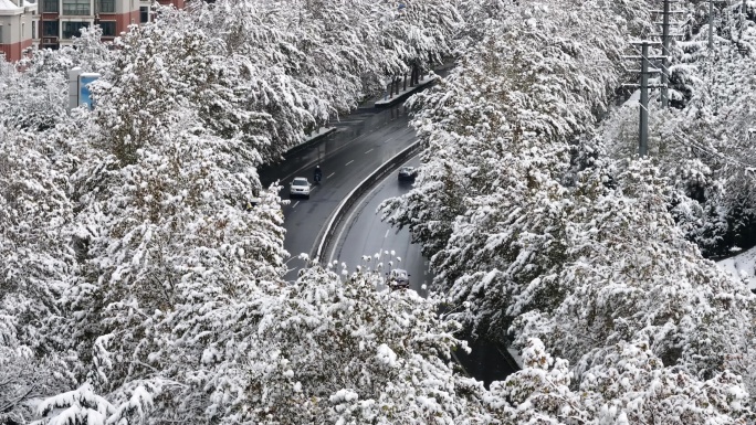 龙口道路雪景