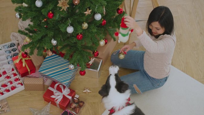 年轻的亚洲妇女喜欢装饰圣诞树与狗在舒适的房子。