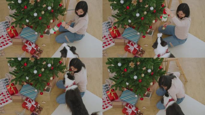 年轻的亚洲妇女喜欢装饰圣诞树与狗在舒适的房子。