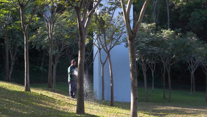 清晨 公园 阳光 健身 树林 风景 绿化