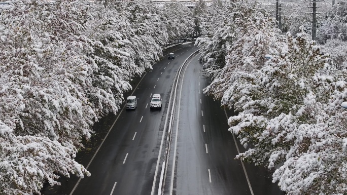 道路雪景