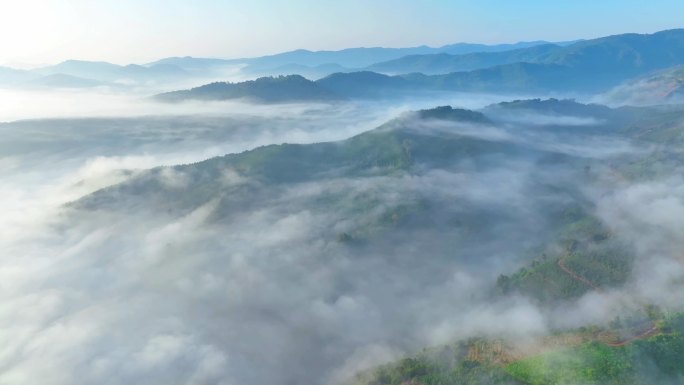 云南普洱万亩茶山日出航拍