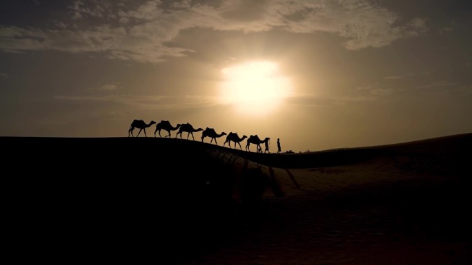 两个柏柏尔人带领骆驼商队的剪影