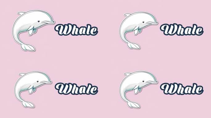 教育动画动物名称介绍，鲸鱼动物4k分辨率。