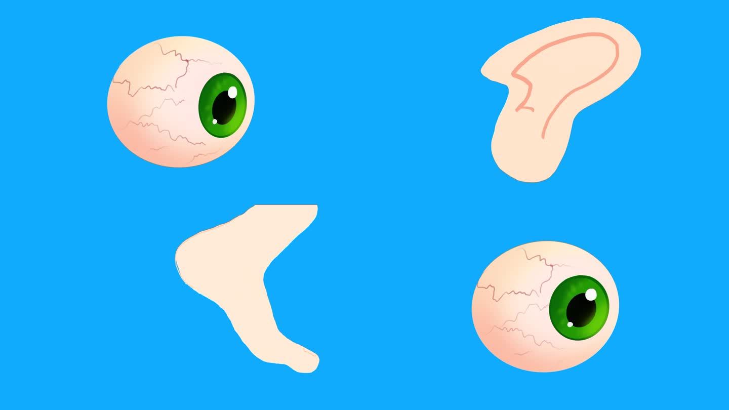 变形的眼睛、耳朵、鼻子和腿。