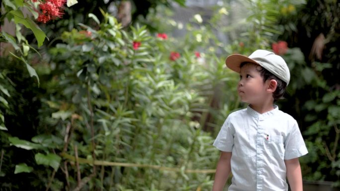 亚洲儿童博物学家用放大镜探索植物和蝴蝶的生命。一个男孩
用放大镜看树枝上的蝴蝶