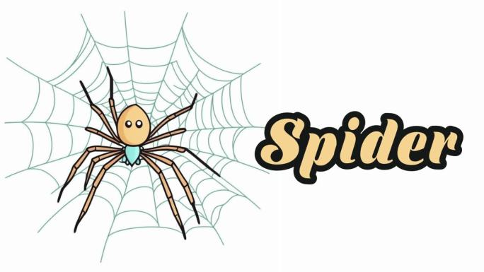 教育动画介绍动物的名字，蜘蛛动物4k分辨率。