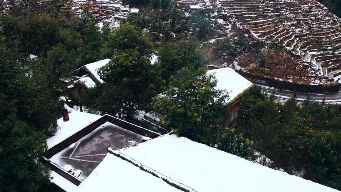 民宿酒店梯田雪天红灯笼中国情结