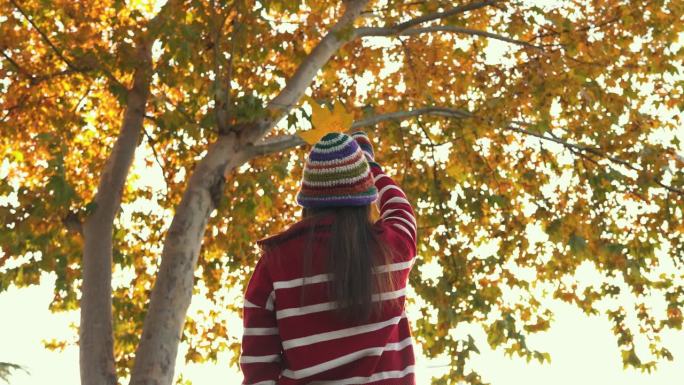 女人手握秋叶秋天树荫大树下秋叶