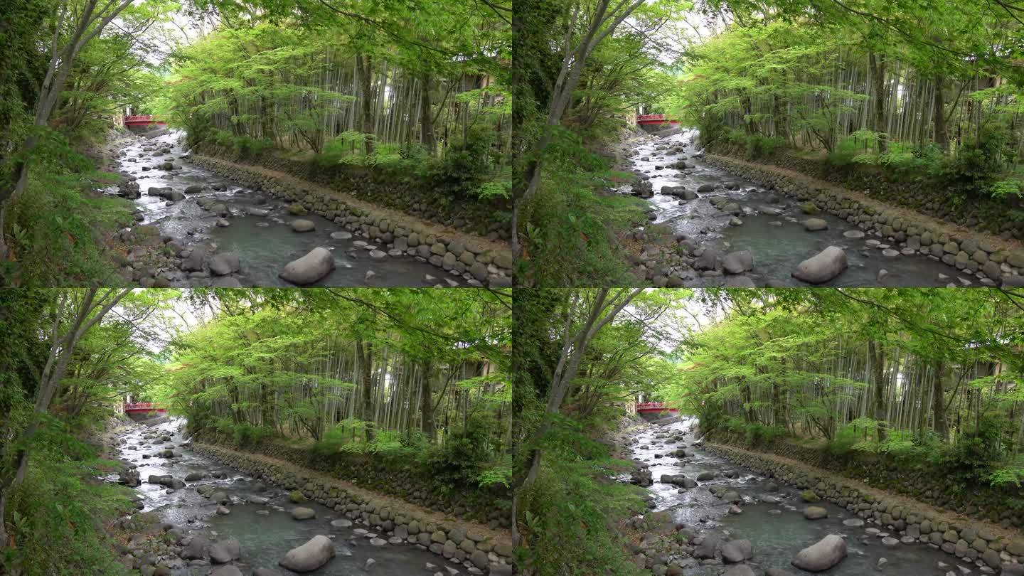 【树禅记】一条穿过竹林的河和一座红桥