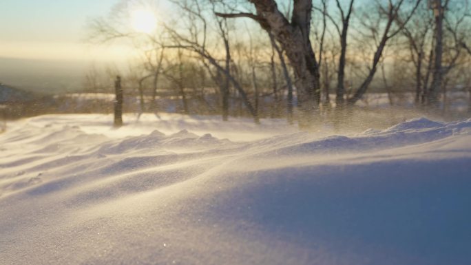 【4K】寒风凛冽雪花飞舞