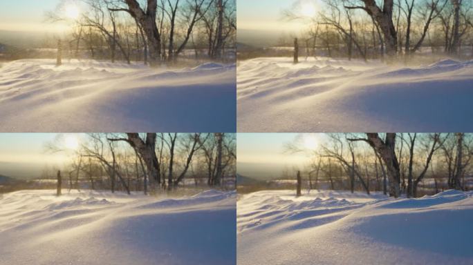 【4K】寒风凛冽雪花飞舞