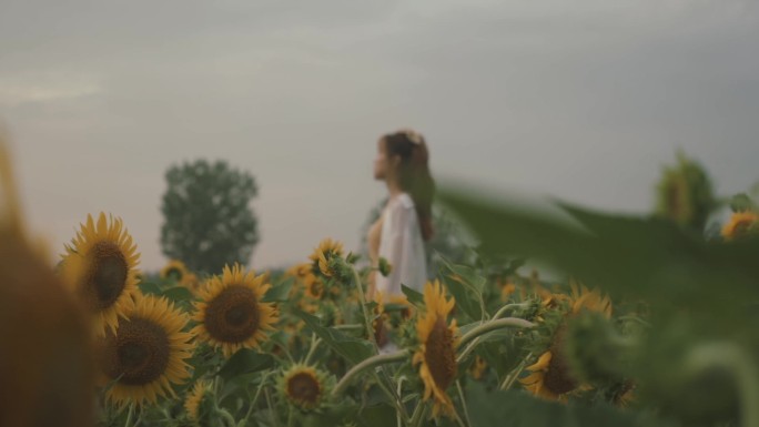 逆光黄昏唯美写意女生少女草地草坪 14