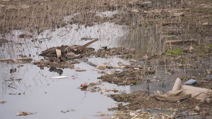 污染 水污染 污水治理 生态环境 环保