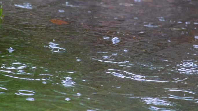 城市马路道路下雨天雨水雨滴大自然风景风光