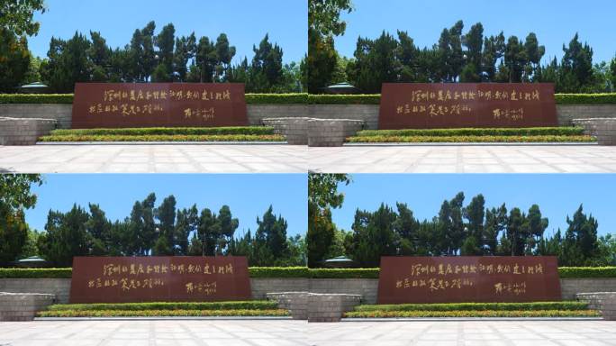 深圳语录 特区经验