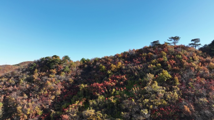 航拍千山秋季彩色山谷