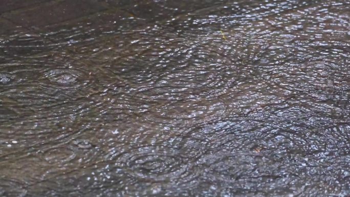 城市马路道路下暴雨倾盆大雨下雨天雨水雨滴