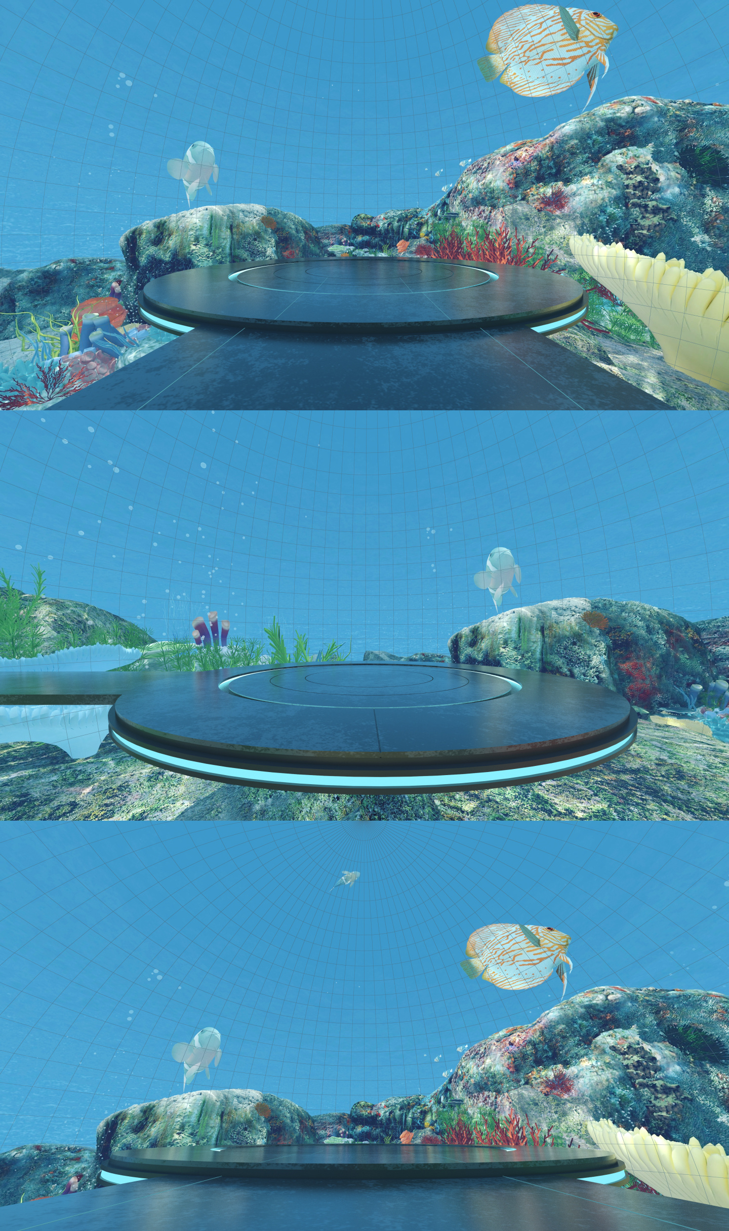 VR_4K海底世界360度全景