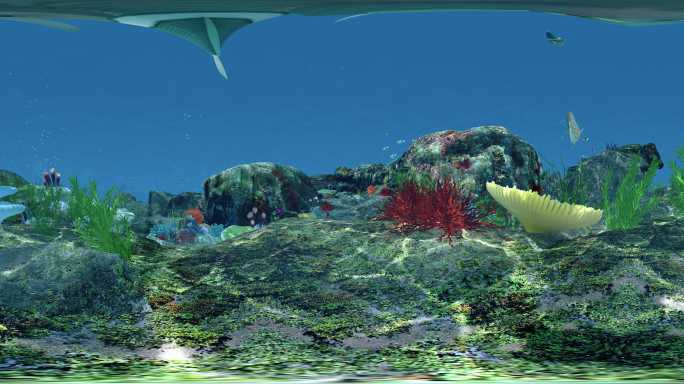 VR_4K海底世界360度全景