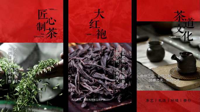 大红袍茶叶文字乌龙茶竖屏手机视频