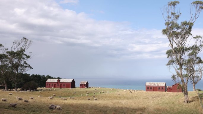 新西兰奥塔哥的马塔纳卡历史农场建筑