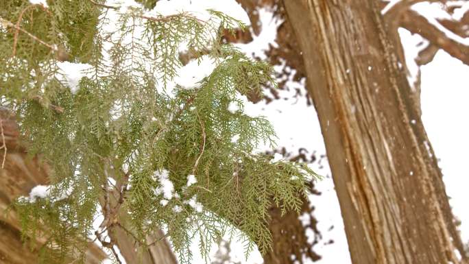 下雪中的北京正阳门前门