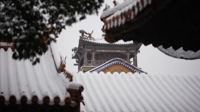 故宫雪景实拍