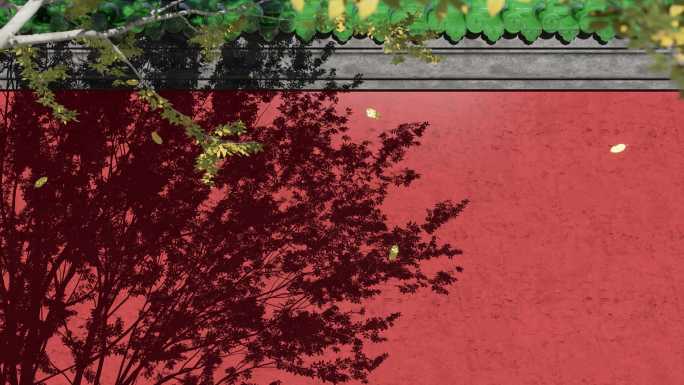 红墙绿瓦树影婆娑四季变换