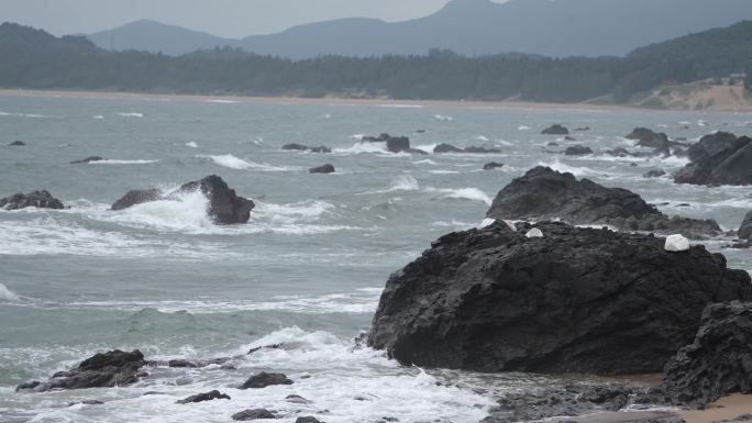 海南三亚陵水万宁海边礁石4k