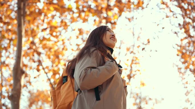 漫步在金秋林地的妇女