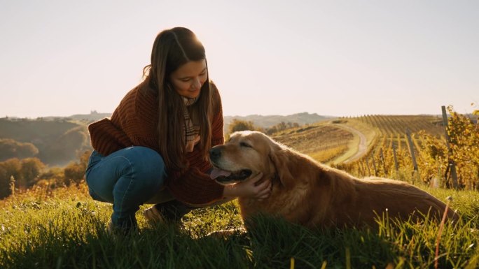 阳光明媚的一天，美丽的年轻女子蹲在草地上抚摸可爱的金毛猎犬