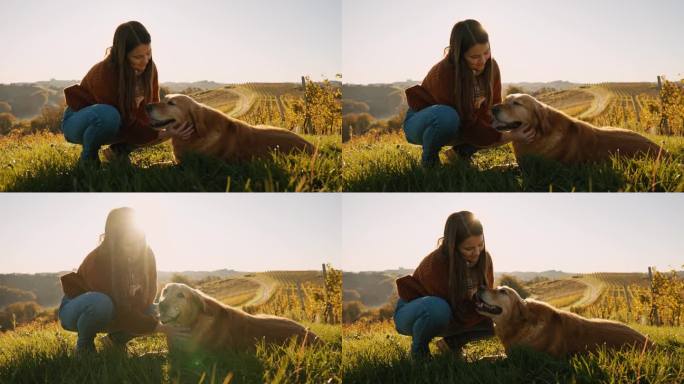 阳光明媚的一天，美丽的年轻女子蹲在草地上抚摸可爱的金毛猎犬