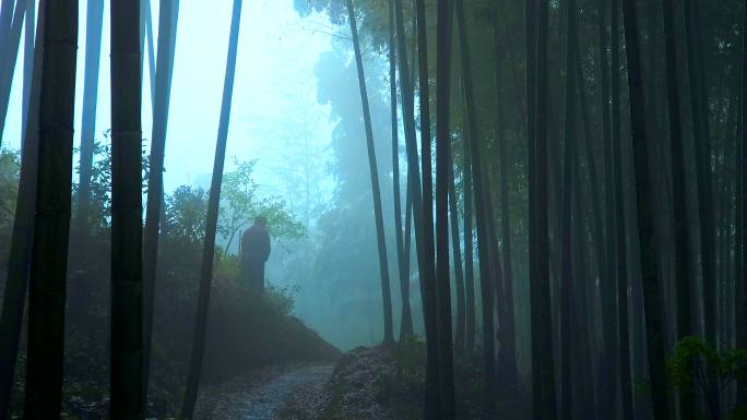农妇冒雨穿过竹林下山