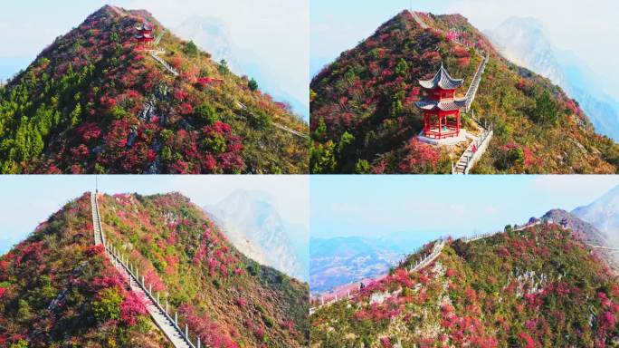 航拍巫峡红叶