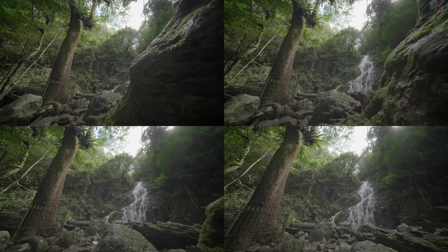 海南五指山热带雨林瀑布溪流4k