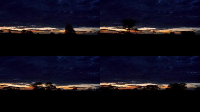 跟踪轮廓树与戏剧性的云景在日落在坦桑尼亚