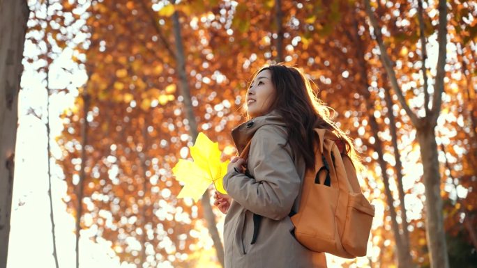 背着背包的年轻女子走在秋天的森林里