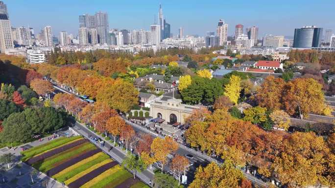 南京市区总统府风景区秋天航拍4K