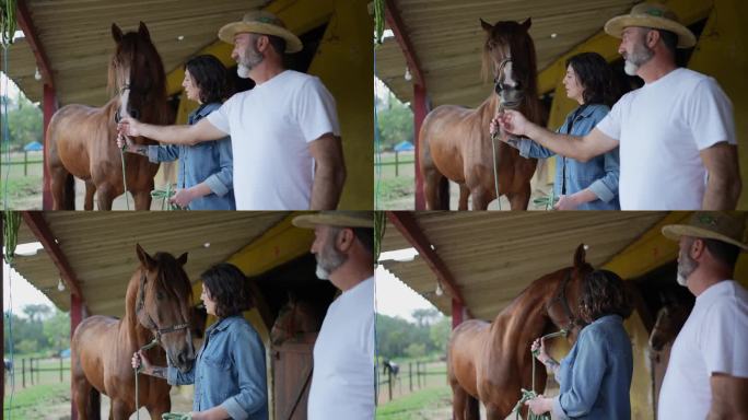 父亲和女儿在牧场照顾马