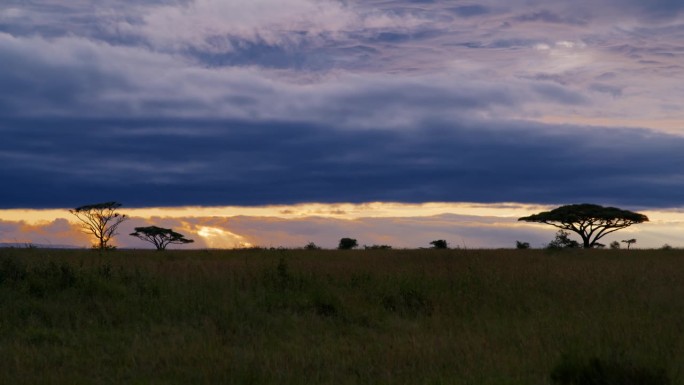 日落时分，塞伦盖蒂国家公园草地上阴云密布的天空