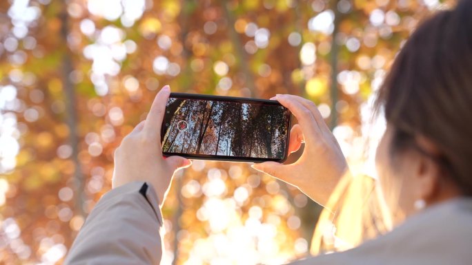 女人在秋天用手机拍照