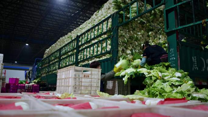 蔬菜交易农贸市场忙碌场景物流运输