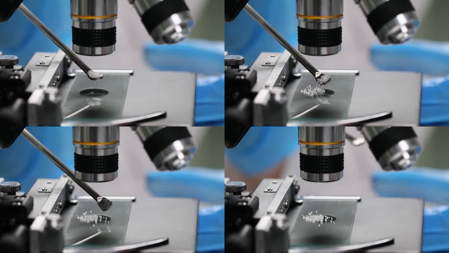 专家在显微镜下检查结晶颗粒