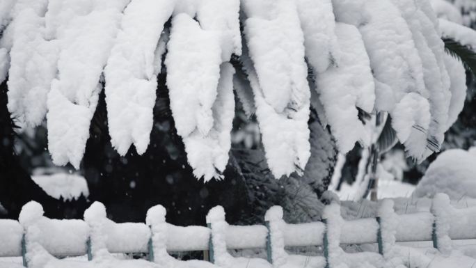 冬天下雪雪景慢动作唯美高速镜头