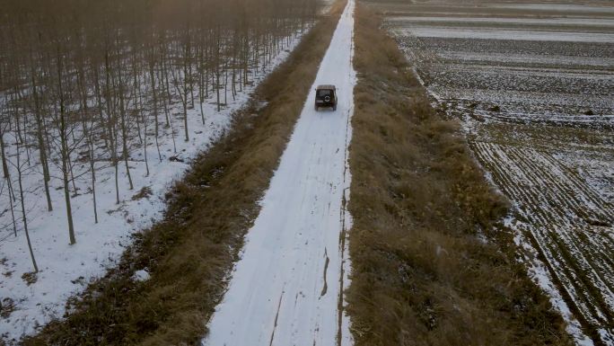 冬天吉普车行驶在北方乡村白桦林小道