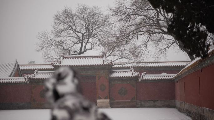 故宫雪景实拍