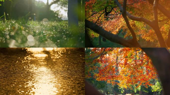 【合集】秋天的清晨空镜头